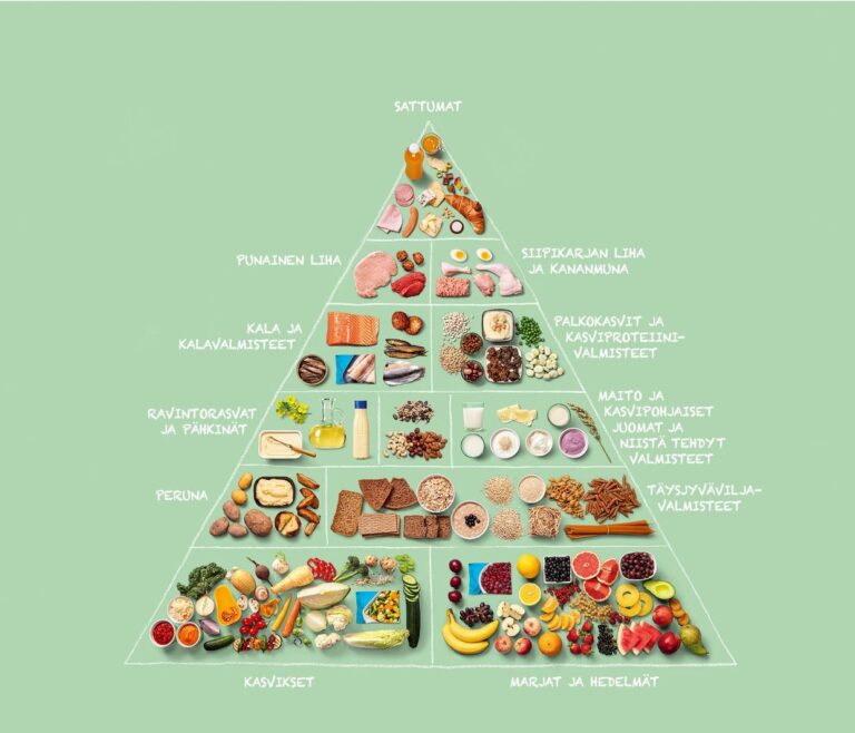 Ruokapyramidi 2025 ©Valtion ravitsemusneuvottelukunta
